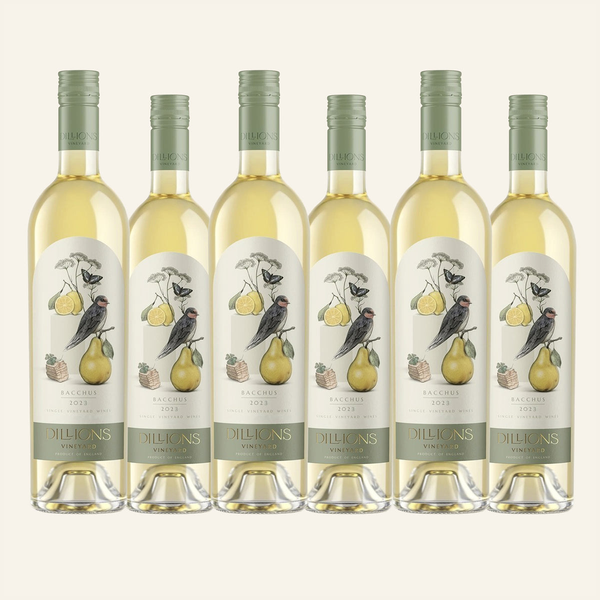 Bacchus White Wine 2023 – Case of 6