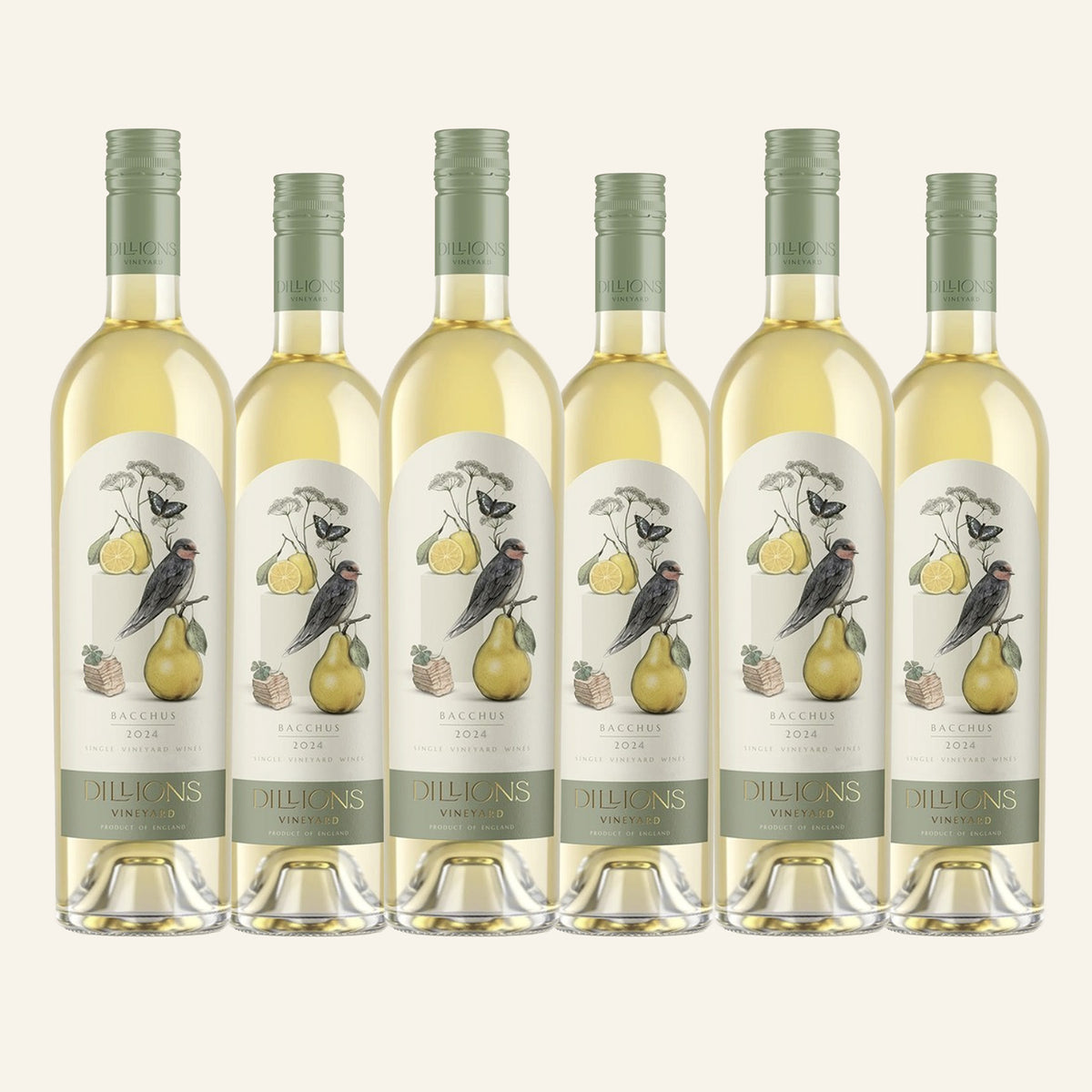 Bacchus White Wine 2024 - Case of 6