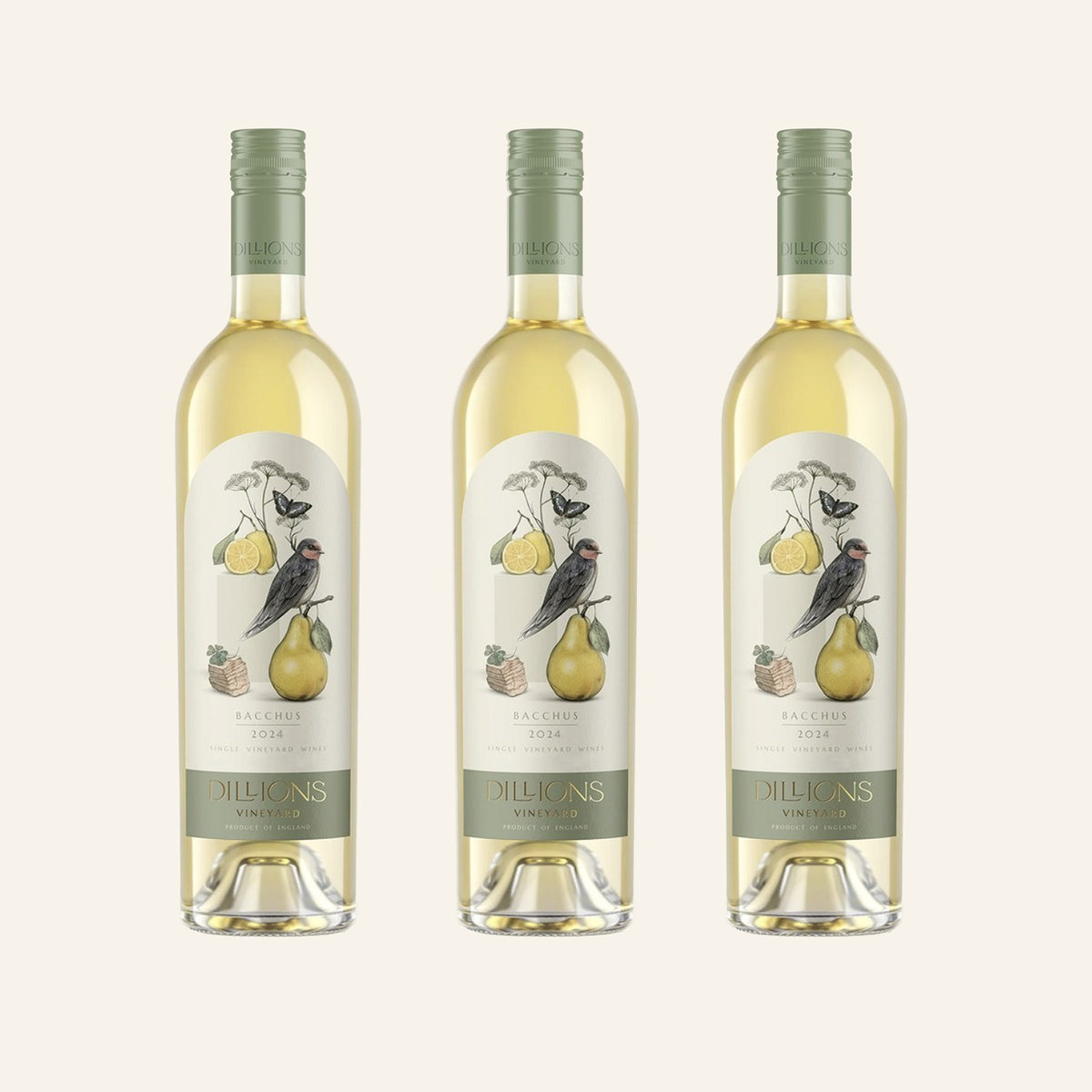 Bacchus White Wine 2024 - Set of 3