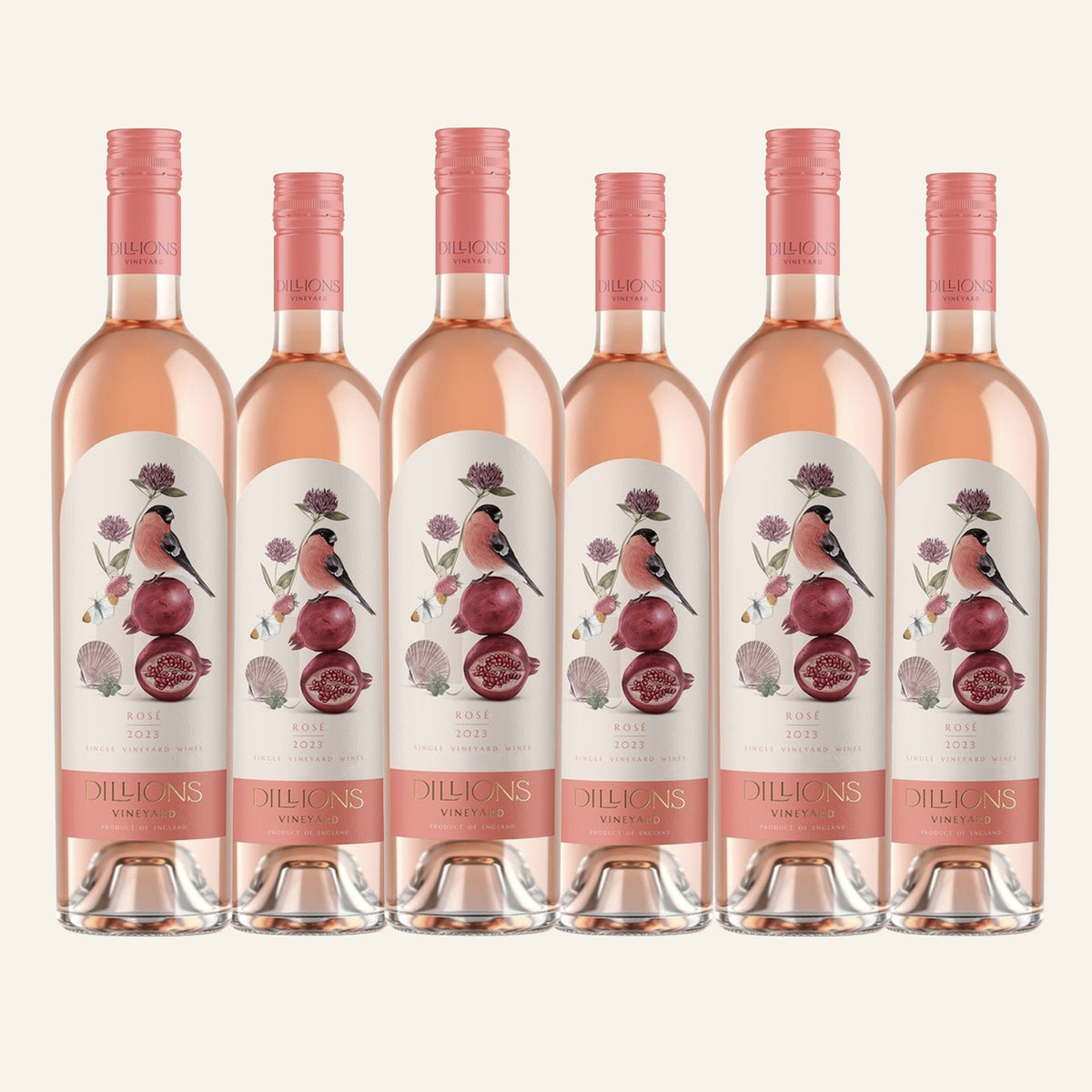 Pinot Rosé Wine 2023 – Case of 6